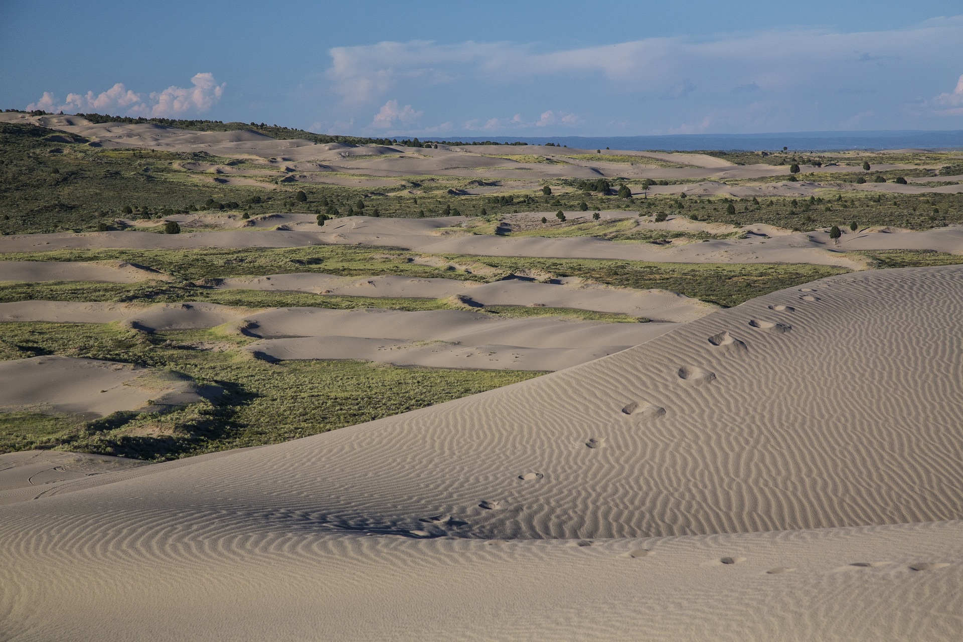 Rolling dunes at the Saint Anthony Sand Dunes, Idaho