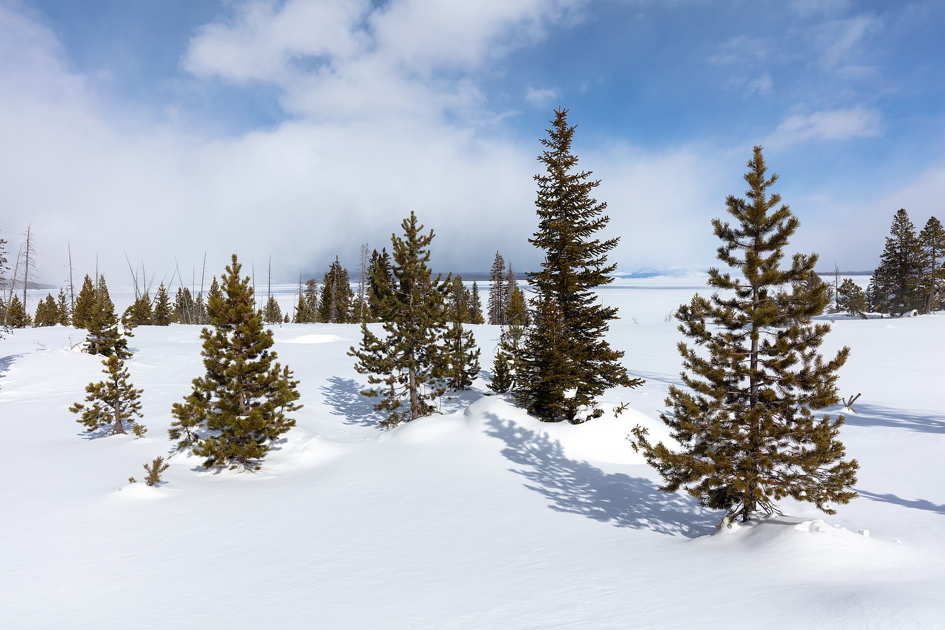 West Thumb Geyser Basin in Yellowstone winter