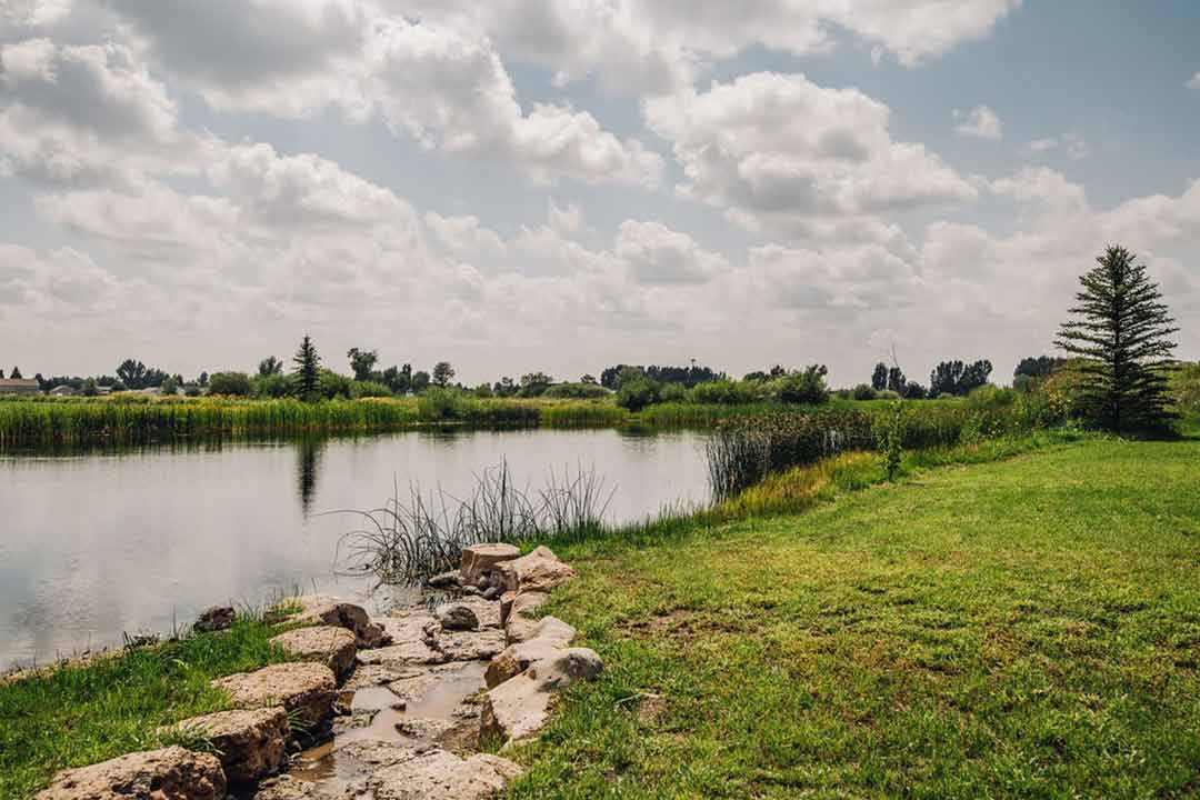 Pond and grounds