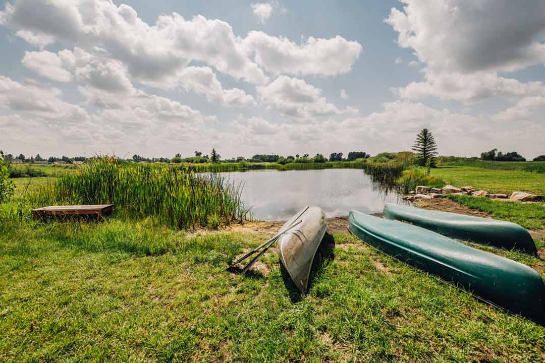 Canoes by the pond